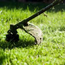 3 Good Reasons To Hire A Professional Lawn Service This Summer