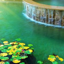 3 Reasons To Add A Pond Or Waterfall Feature To Your Landscape