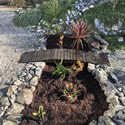 Santa Cruz County aloes, agaves, succulents and cacti